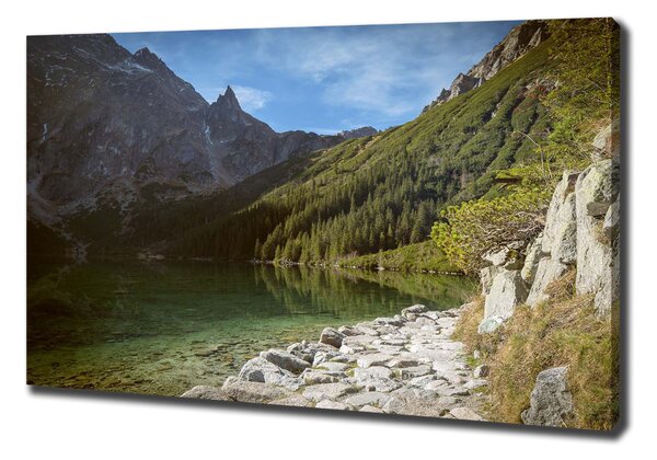 Feszített vászonkép Marine szem tatry