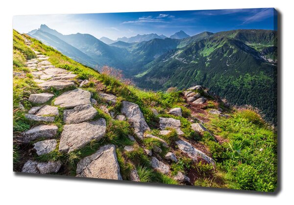 Feszített vászonkép Sunrise tatry