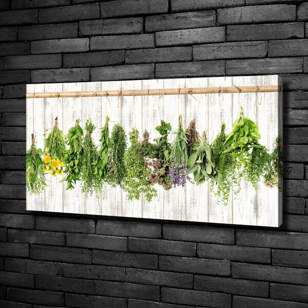 Vászonkép nyomtatás Herbs egy húr