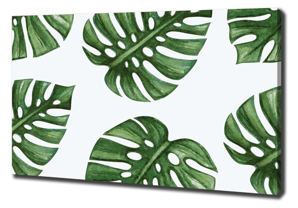 Egyedi vászonkép Monstera