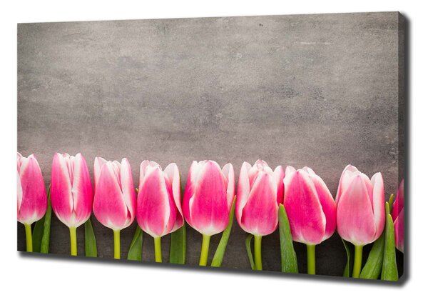Vászonkép nyomtatás Rózsaszín tulipánok