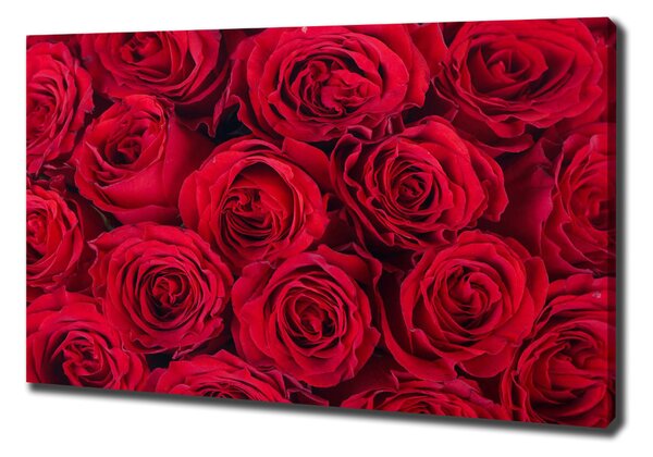 Vászonkép nyomtatás Roses
