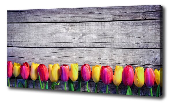 Vászonkép nyomtatás Tulipán fa