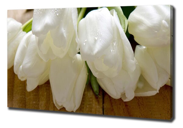 Vászonkép nyomtatás Fehér tulipán