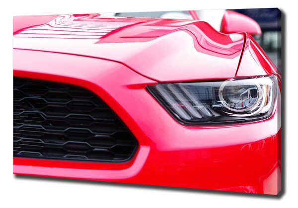 Vászonkép falra Piros mustang