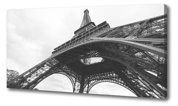 Vászonfotó Párizsi eiffel-torony