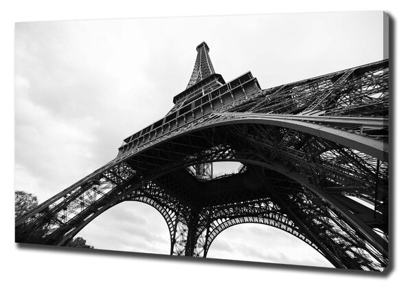 Vászonfotó Párizsi eiffel-torony