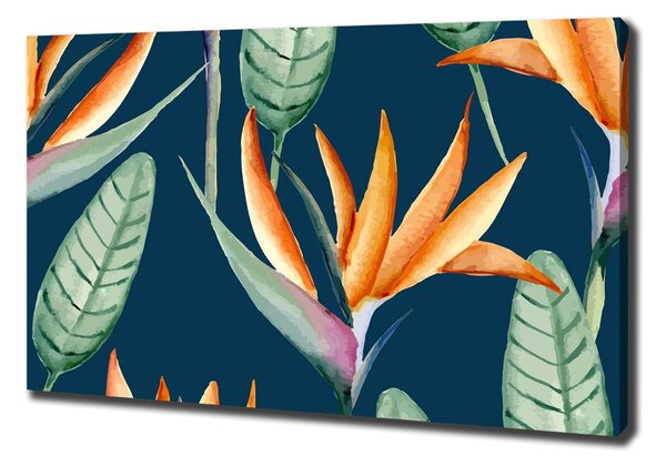 Egyedi vászonkép Strelitzia reginae