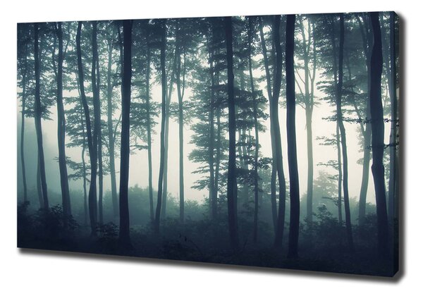 Feszített vászonkép Forest a ködben
