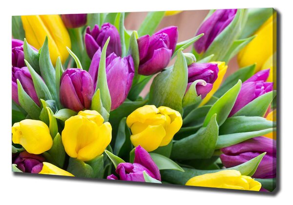 Vászonkép nyomtatás Színes tulipán