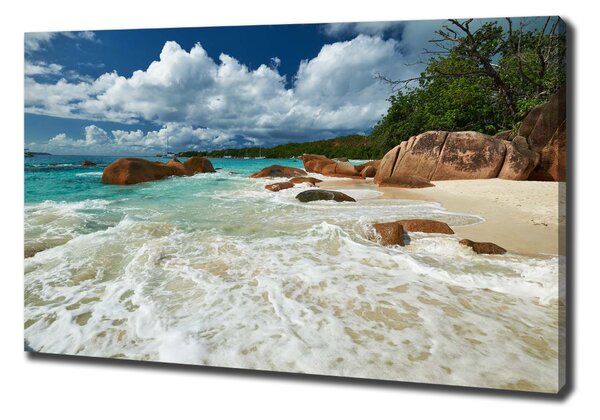 Feszített vászonkép Strand seychelles
