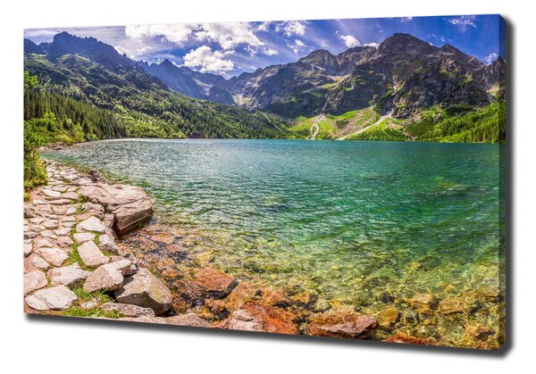 Feszített vászonkép Marine szem tatry