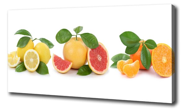 Fali vászonkép Citrusfélék