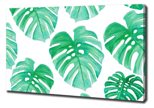 Egyedi vászonkép Monstera