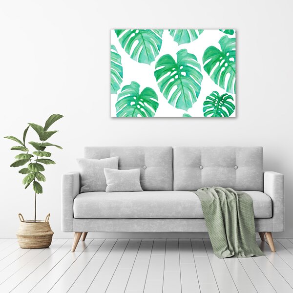 Egyedi vászonkép Monstera