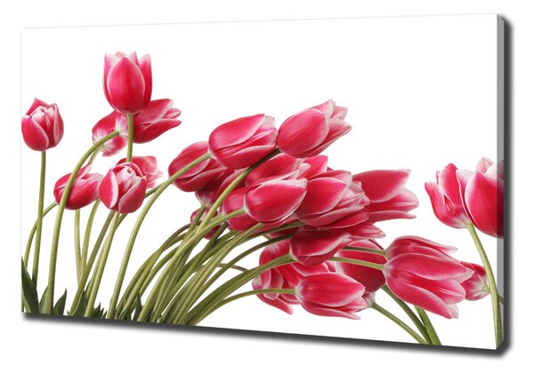 Vászonkép nyomtatás Piros tulipánok