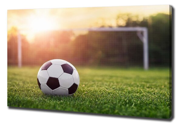 Vászonfotó Futball