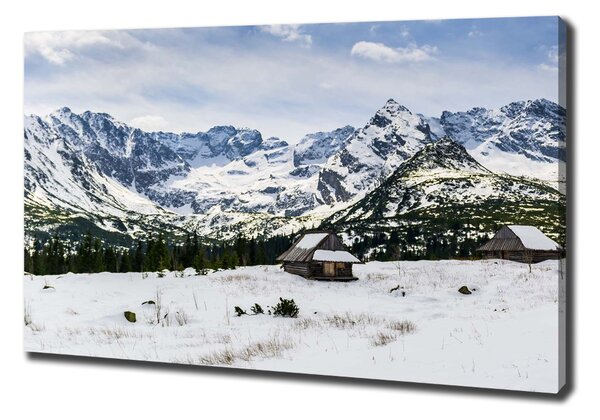 Feszített vászonkép Hale tatry
