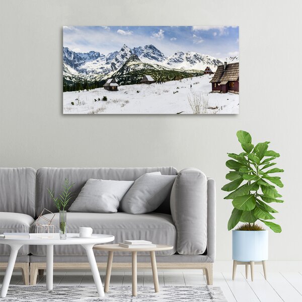 Feszített vászonkép Hale tatry