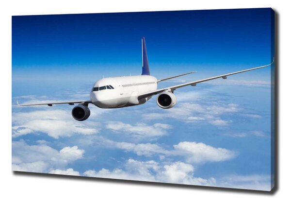 Vászonkép falra Plane a levegőben