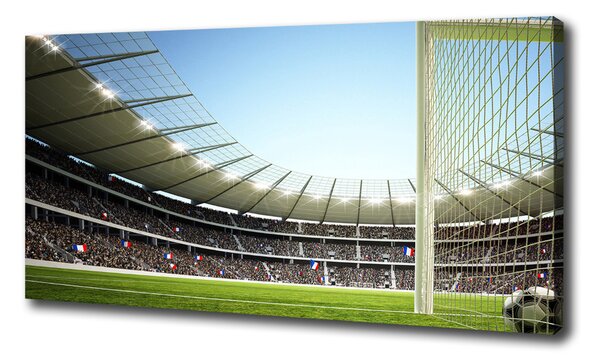 Vászonfotó France stadiontól