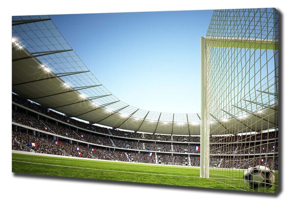 Vászonfotó France stadiontól