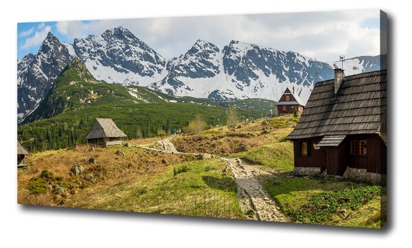 Feszített vászonkép Hale tatry