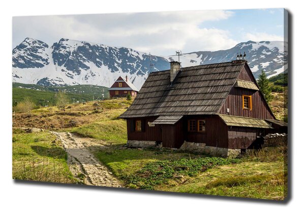 Feszített vászonkép Hale tatry