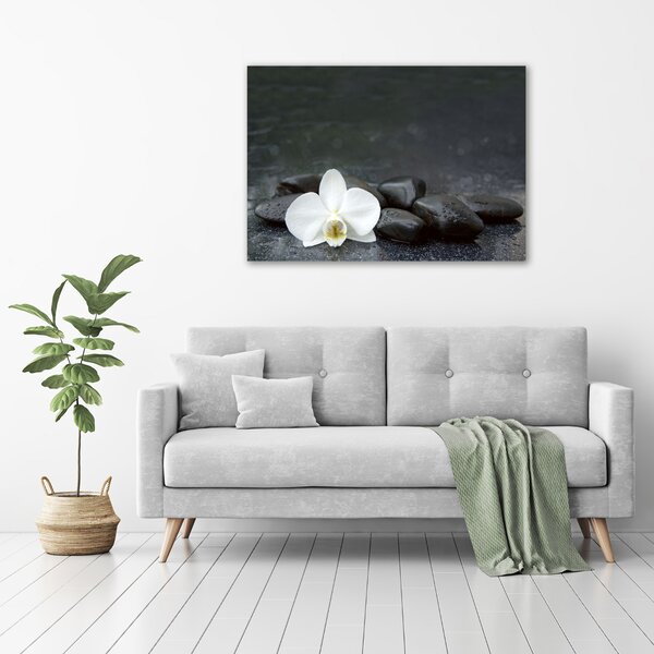 Vászonkép nyomtatás Orchidea