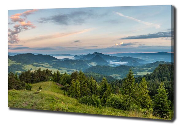 Feszített vászonkép Körkép a pieniny