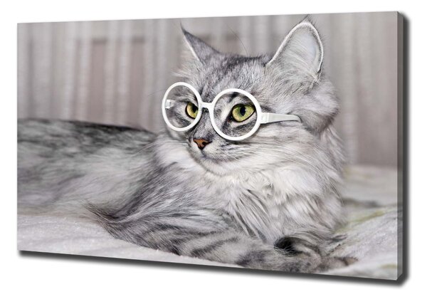 Vászonkép Cat szemüveg