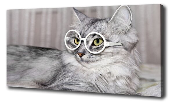 Vászonkép Cat szemüveg