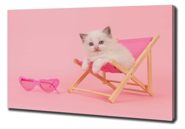 Vászonkép Cat egy nyugágyon
