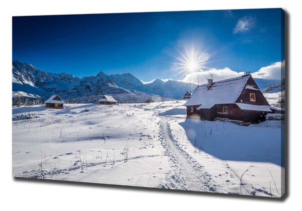 Feszített vászonkép Hale tatry