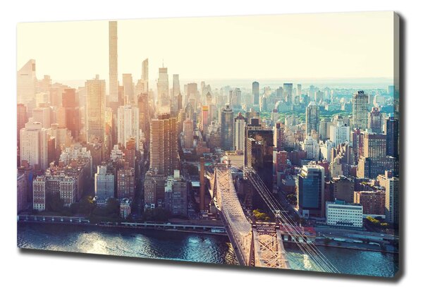 Vászonfotó New york-i járat madár