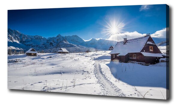 Feszített vászonkép Hale tatry