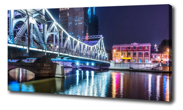 Vászonfotó Shanghai híd