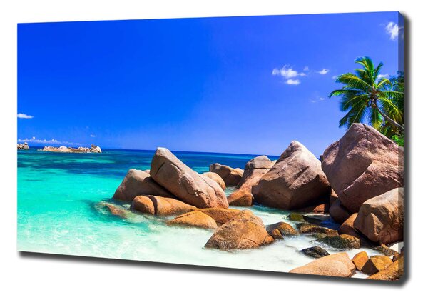 Feszített vászonkép Strand seychelles