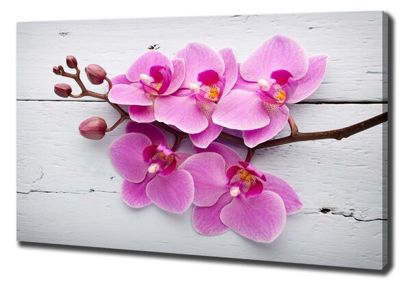 Vászonkép nyomtatás Orchid a fán