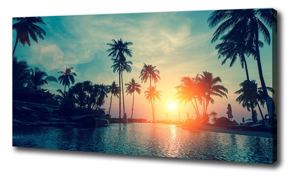 Feszített vászonkép Sunset tenyér