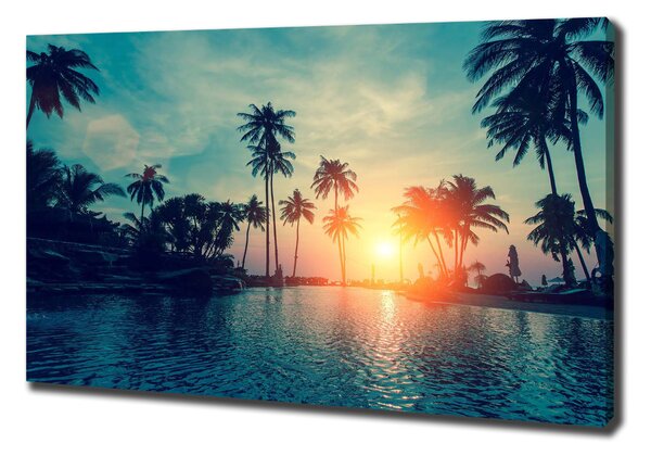 Feszített vászonkép Sunset tenyér