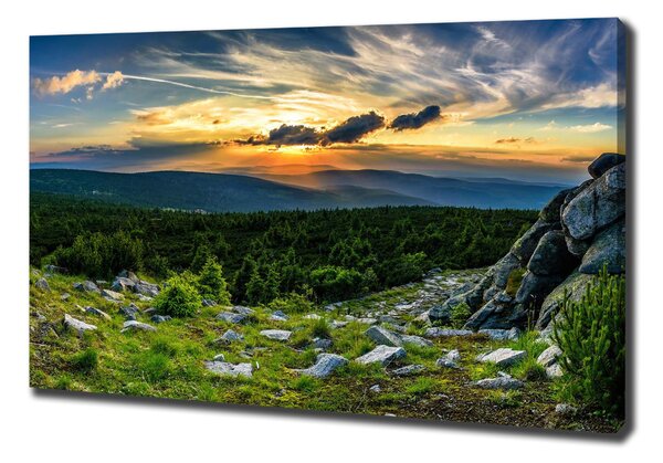 Feszített vászonkép Hegyi panoráma
