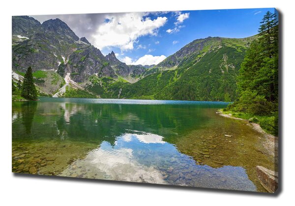 Feszített vászonkép Marine szem tatry