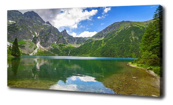 Feszített vászonkép Marine szem tatry