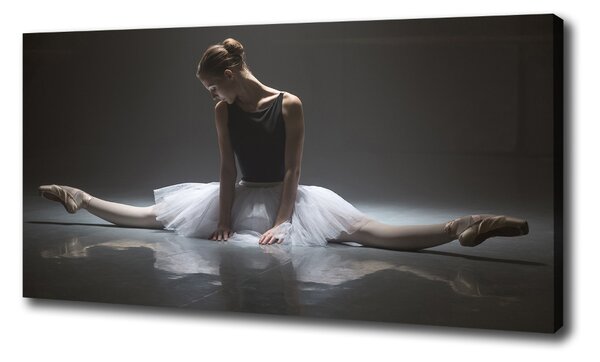 Fénykép vászon Balerina