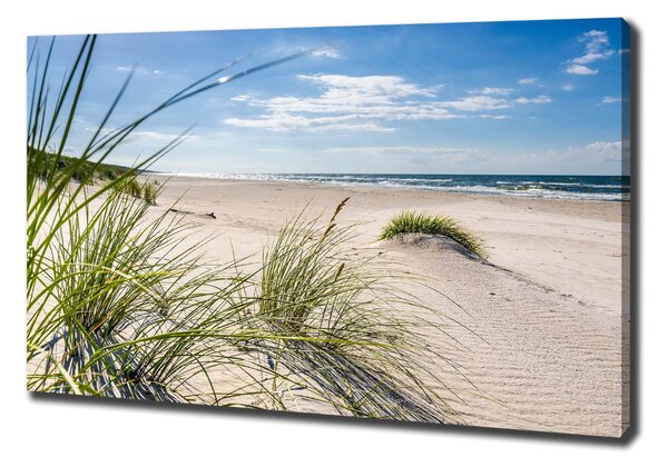 Feszített vászonkép Mrzeżyno beach