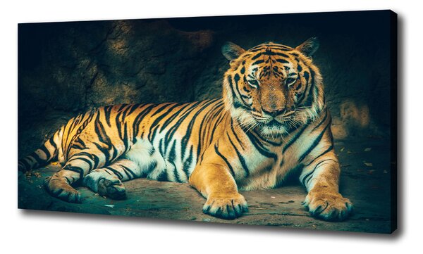 Vászonkép Tiger cave