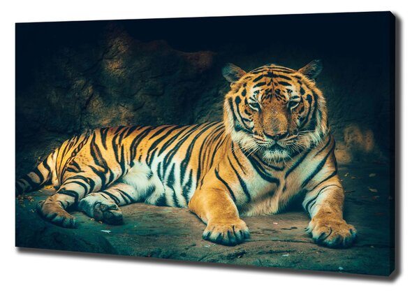 Vászonkép Tiger cave