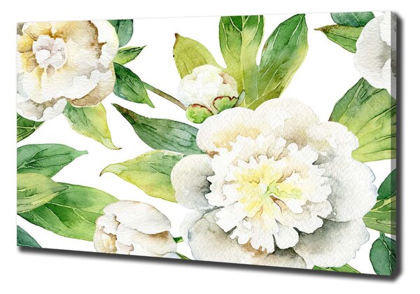 Egyedi vászonkép Peonies