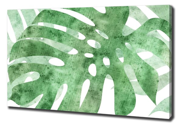 Egyedi vászonkép Monstera